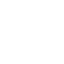 spider 1